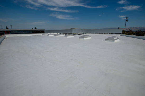 Best Roof Coating Services  in Loretto, TN