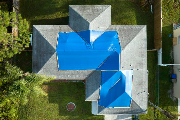 Best Gutter Installation and Repair  in Loretto, TN