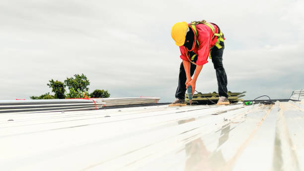 Best Skylight Installation and Repair  in Loretto, TN