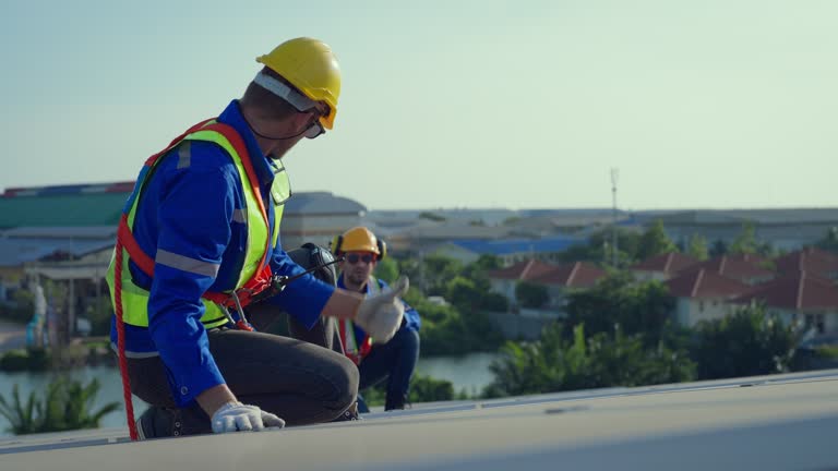Best Roof Insulation Installation  in Loretto, TN