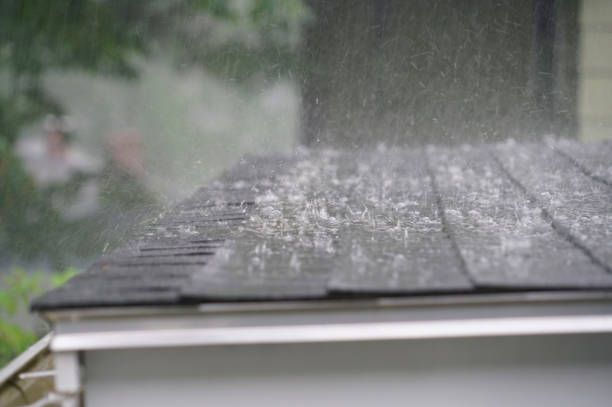 Best Cold Roofs  in Loretto, TN