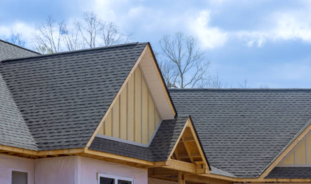 Best Steel Roofing  in Loretto, TN